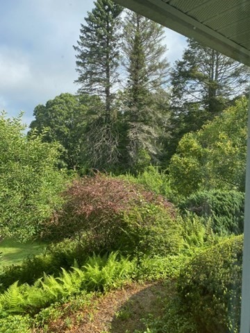 61 Arnold Rd Property Photo 27