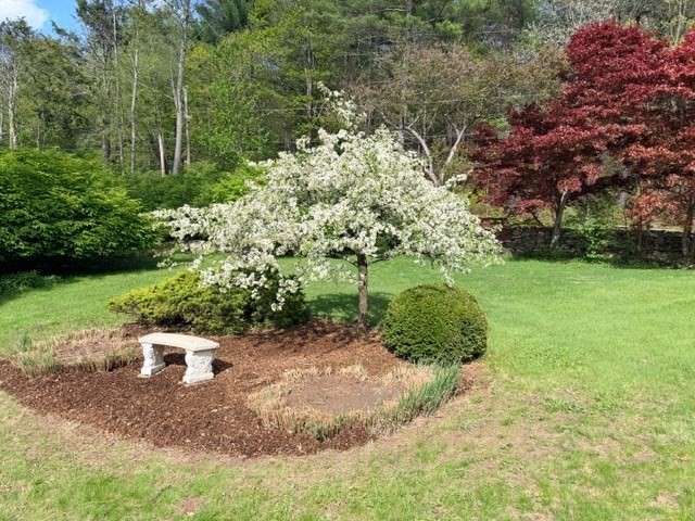 61 Arnold Rd Property Photo 29