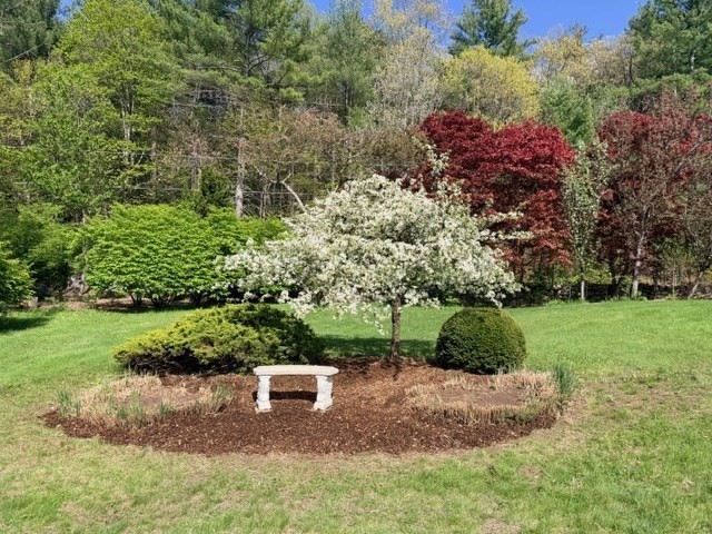 61 Arnold Rd Property Photo 30