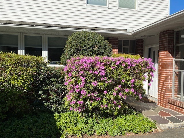 61 Arnold Rd Property Photo 36
