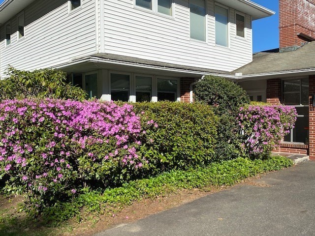 61 Arnold Rd Property Photo 37