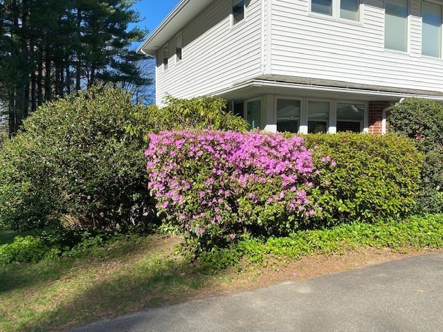 61 Arnold Rd Property Photo 38