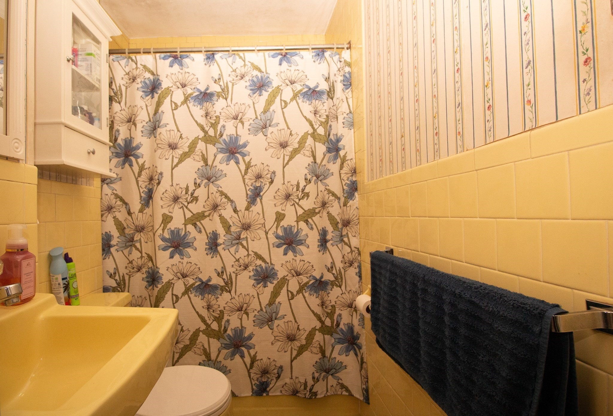 18 Steele St Property Photo 40