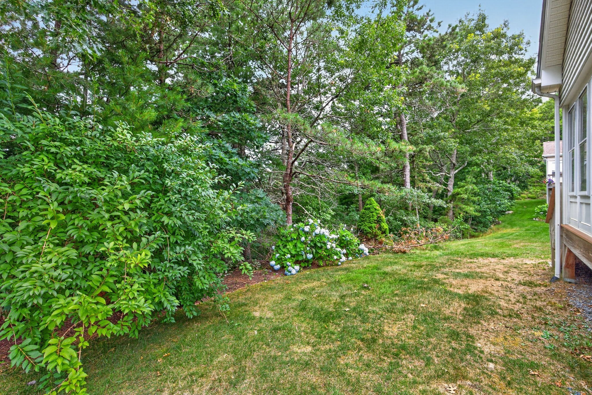 7 White Trellis Property Photo 33