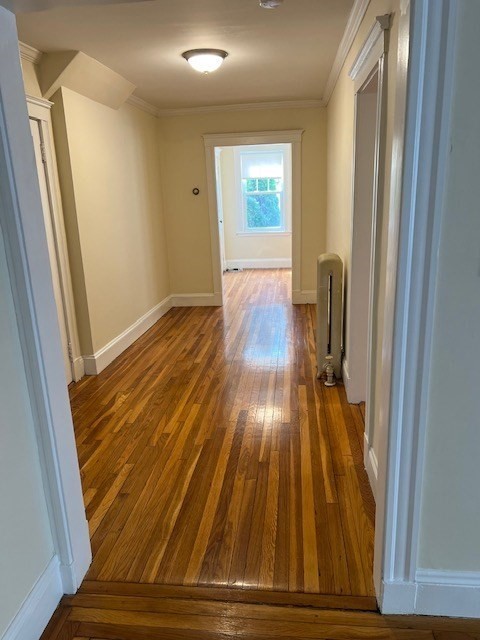 71 Palfrey Street # 71 Property Photo 11