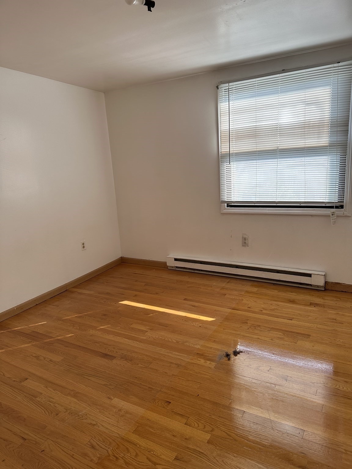 131 Farrington St Property Photo 19