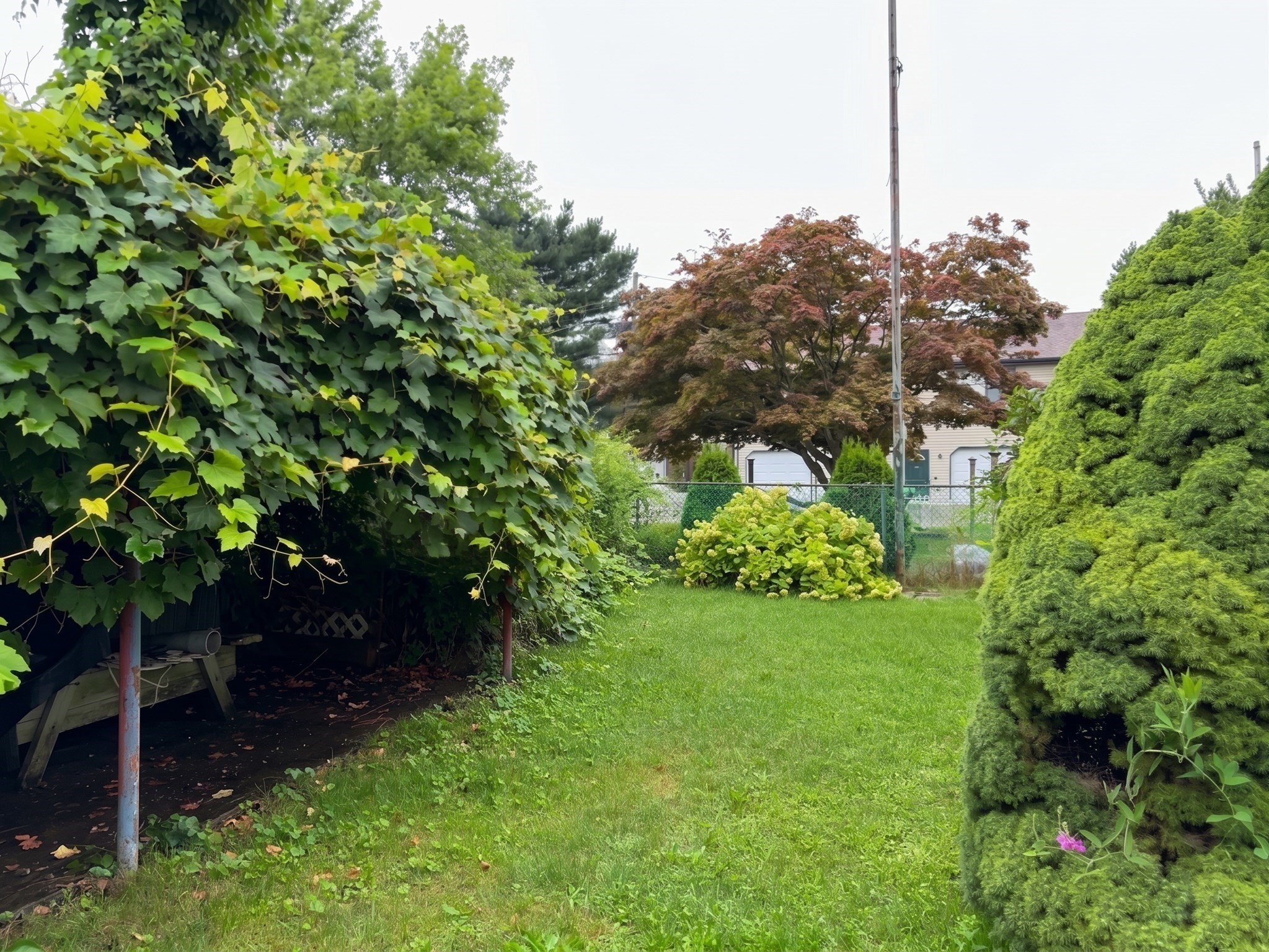 124 Clara St Property Photo 12