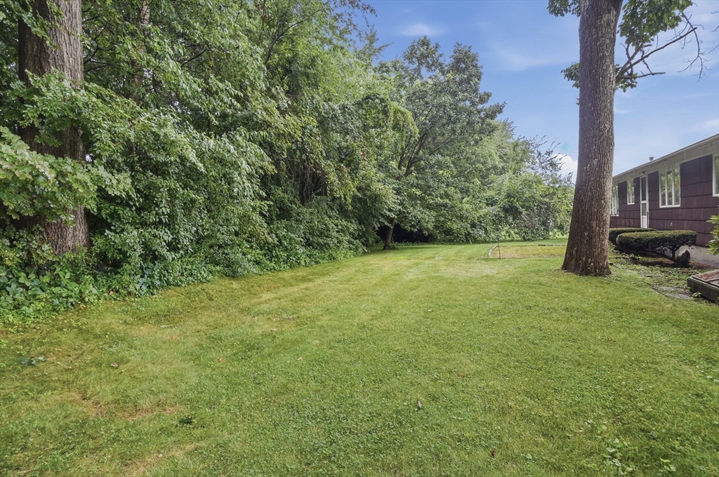 52 Thornton Road Property Photo 29