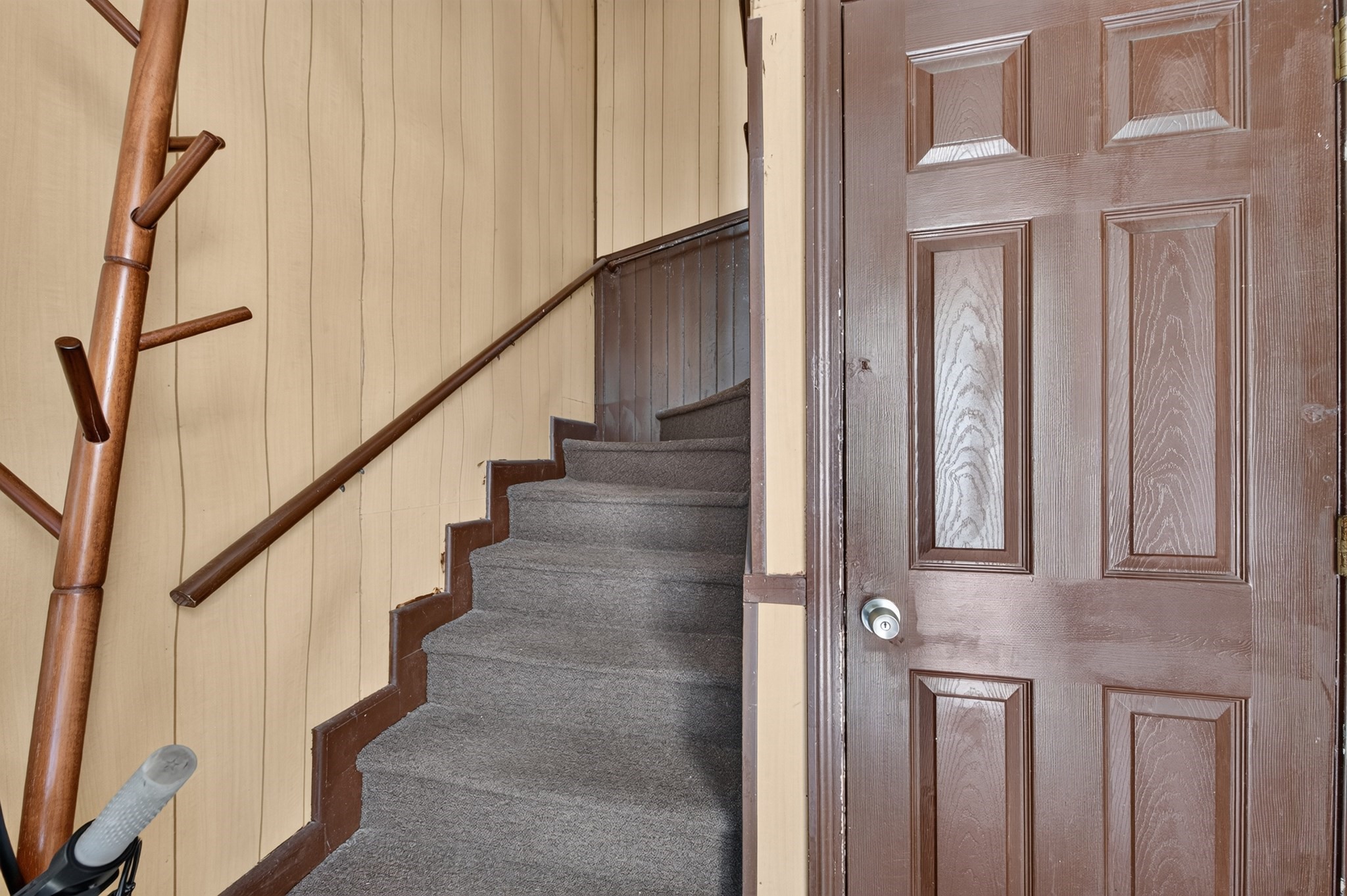 5 Diamond St Property Photo 5