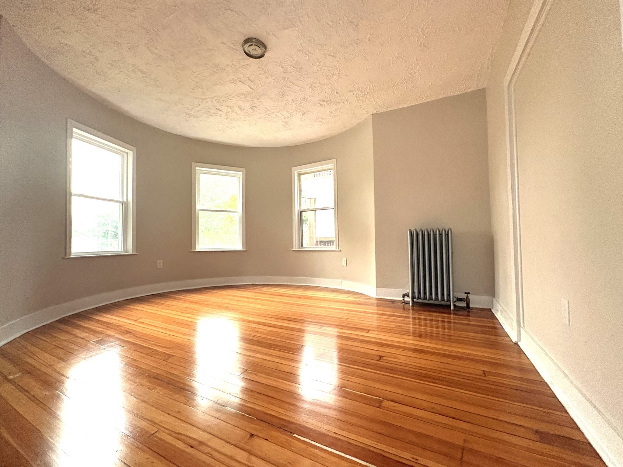 15 Harold Park # 1 Property Photo 1