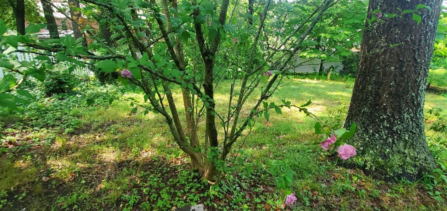75 Woodruff Rd Property Photo 7