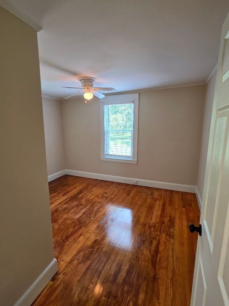 441 Walpole St # A Property Photo 4