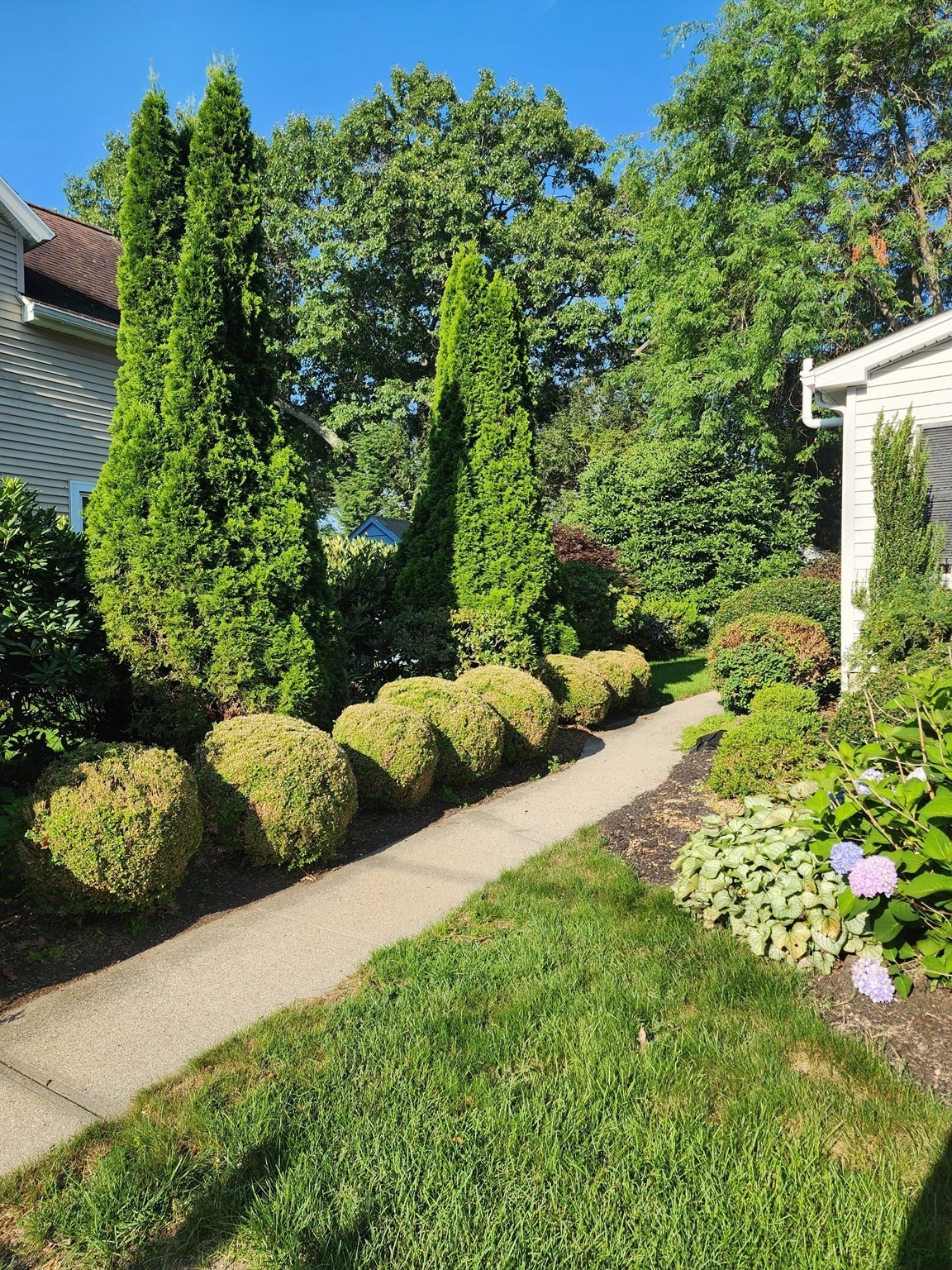39 Everett Ave Property Photo 10