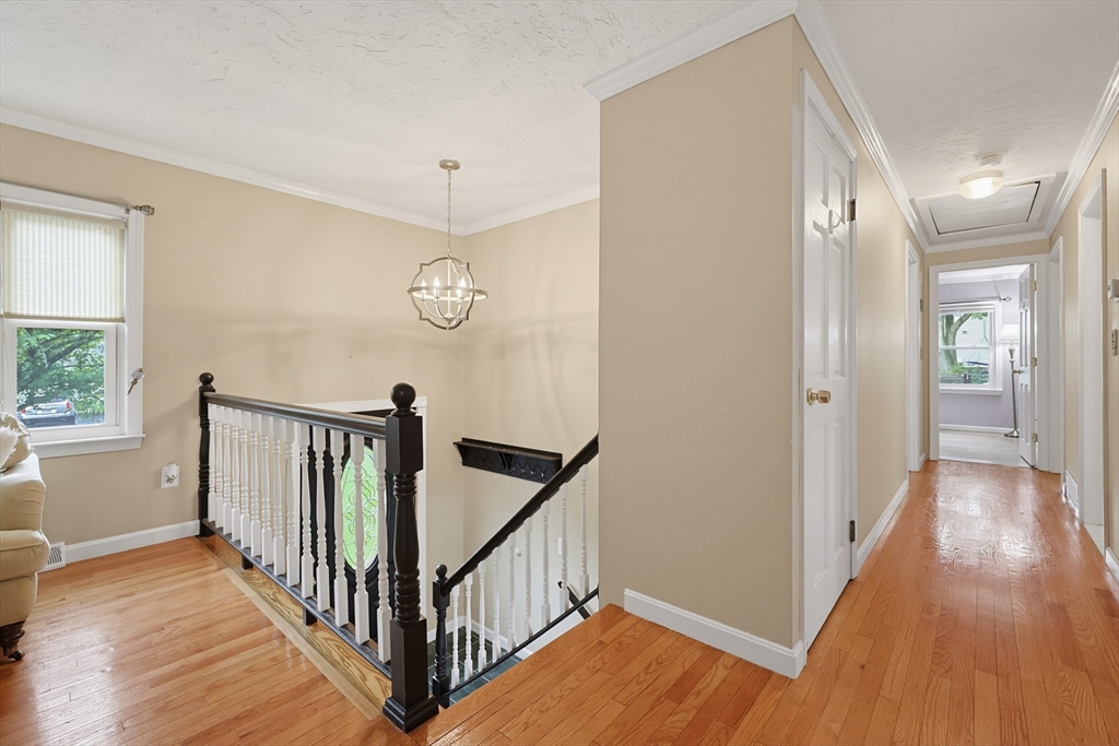 41 Myrtle St Property Photo 3