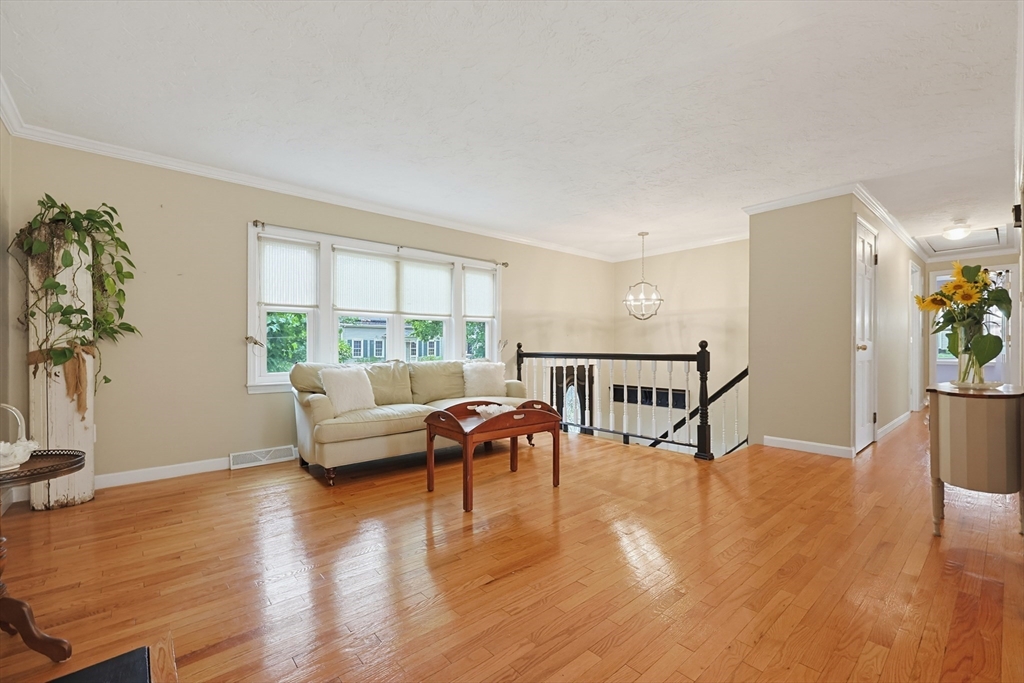 41 Myrtle St Property Photo 4