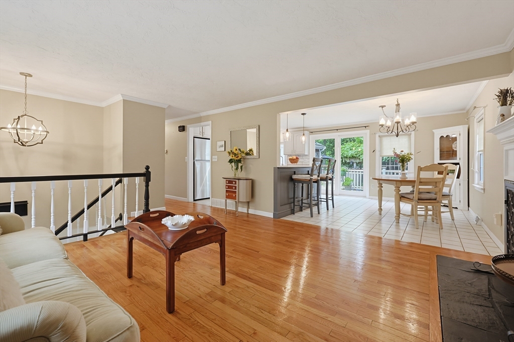 41 Myrtle St Property Photo 6