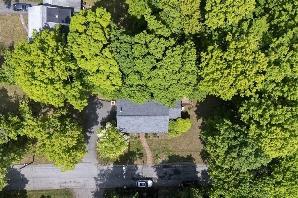 2 Laurel Street Property Photo 31