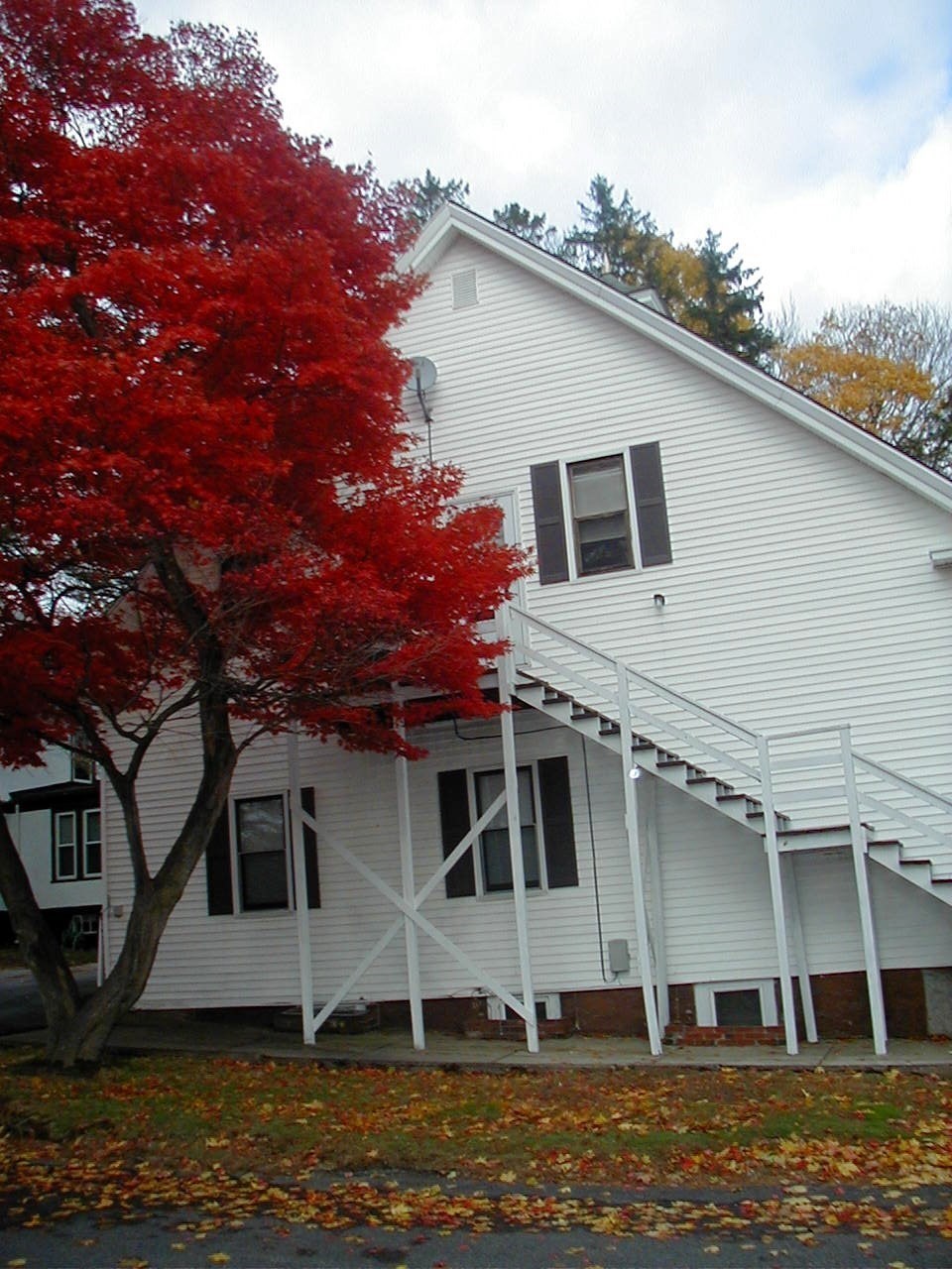 49B Dean Avenue # B Property Photo 1