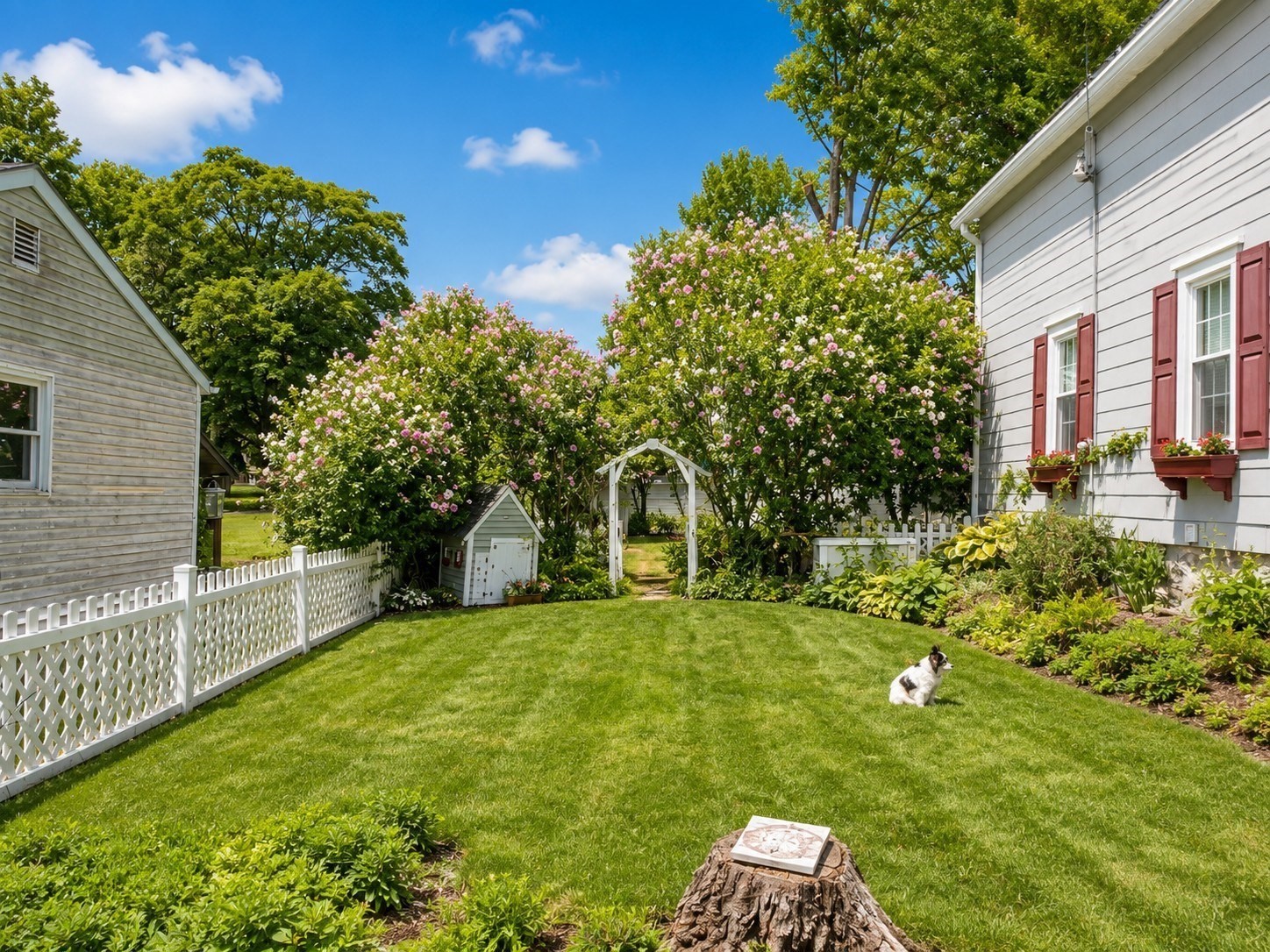 6 Torrey St. Property Photo 4
