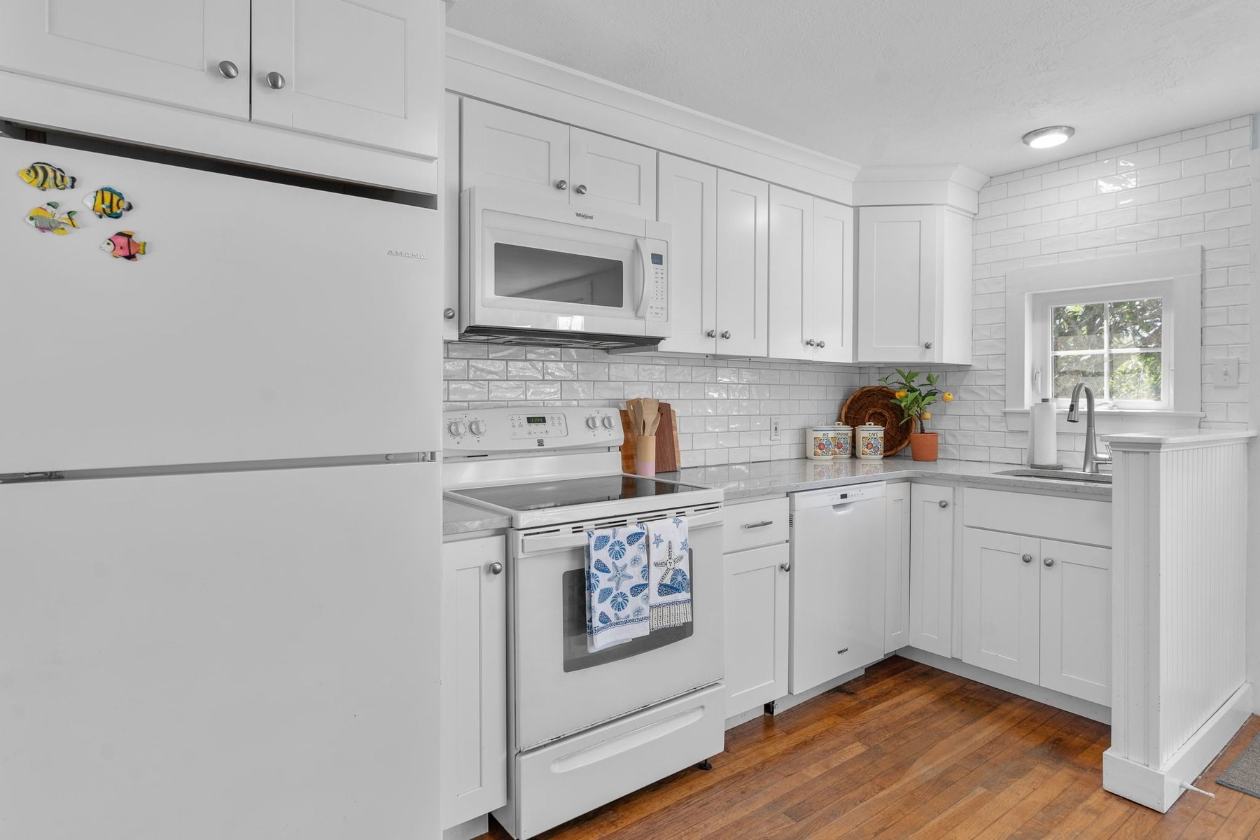 11 Rosetta Street Property Photo 8