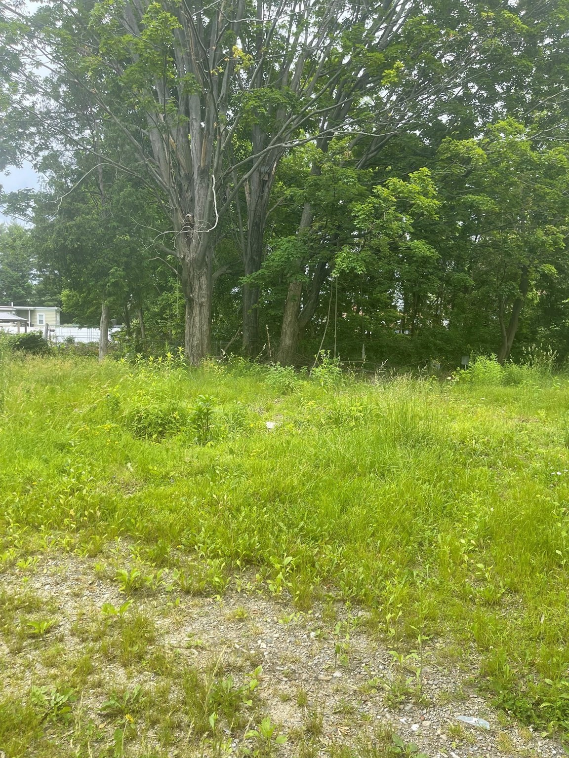 Lot 1 Tamarack Property Photo 1