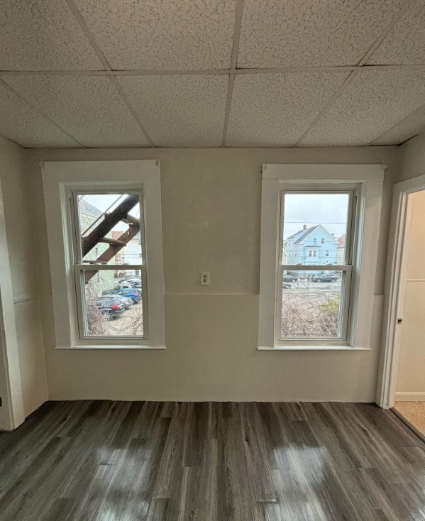49 Nelson St Property Photo 18