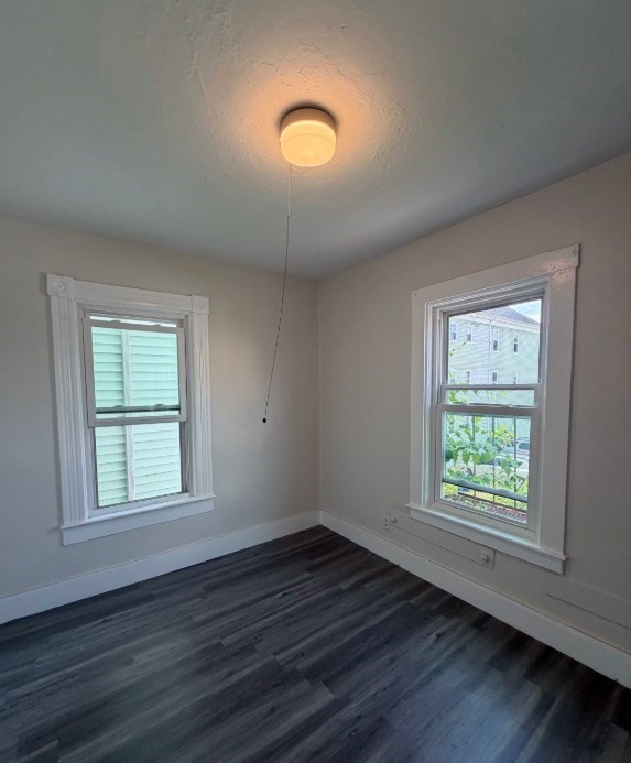 49 Nelson St Property Photo 20