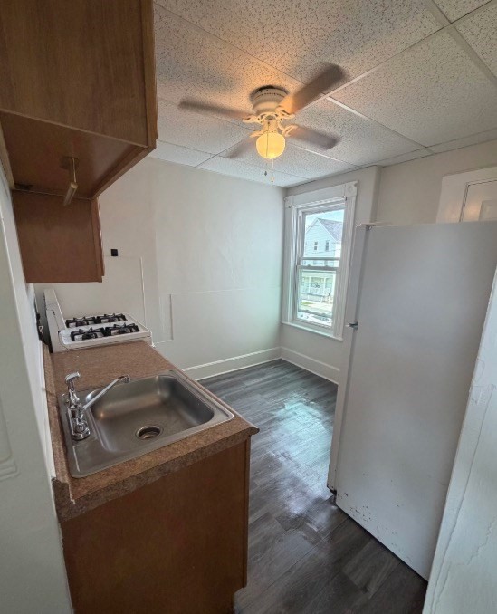 49 Nelson St Property Photo 21