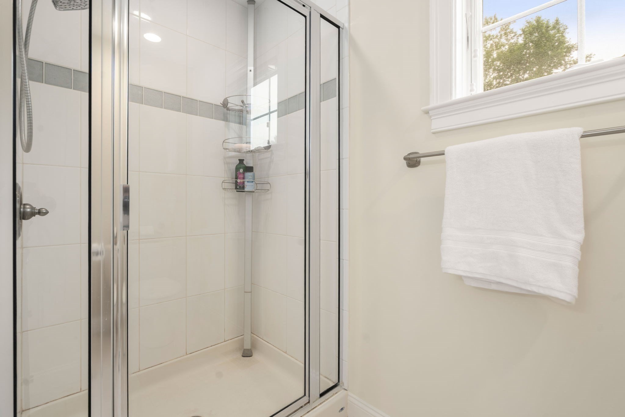 3 Mcgill Ct # 3 Property Photo 21