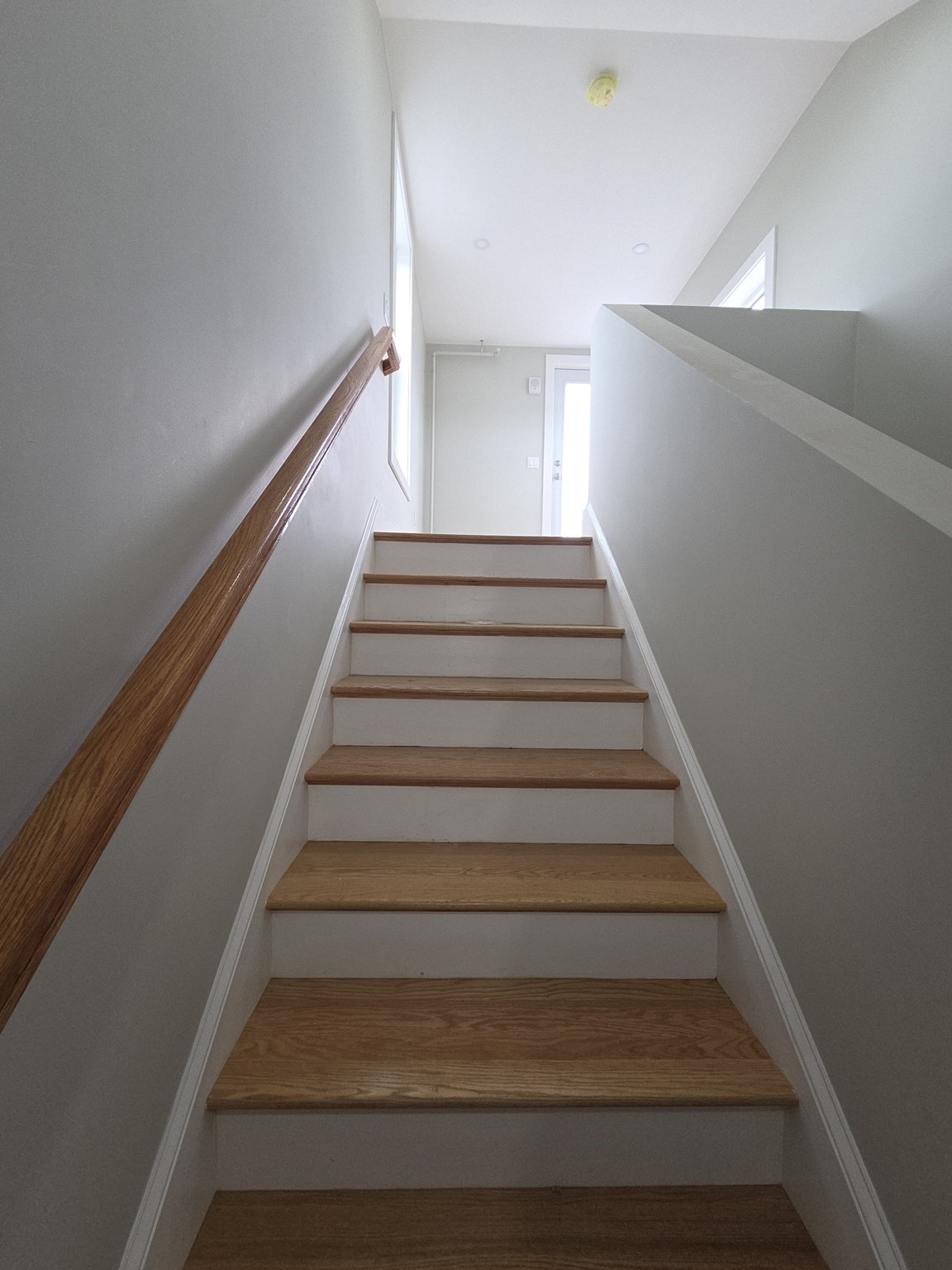 7 Thornley Street # 3 Property Photo 15