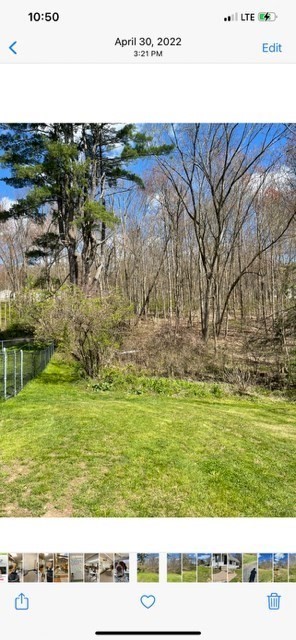 374 Wilbraham Road Property Photo 6