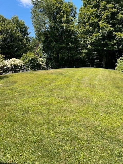 374 Wilbraham Road Property Photo 11