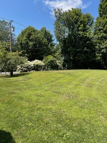 374 Wilbraham Road Property Photo 13