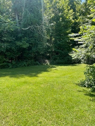 374 Wilbraham Road Property Photo 15