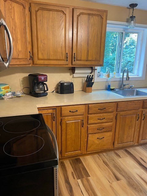 374 Wilbraham Road Property Photo 17