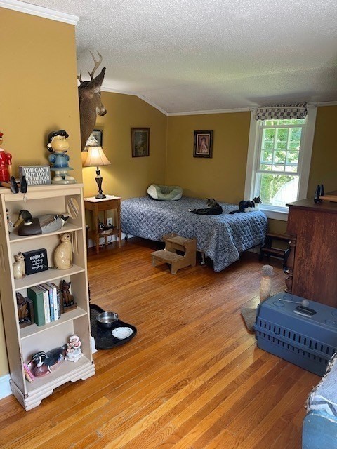 374 Wilbraham Road Property Photo 22