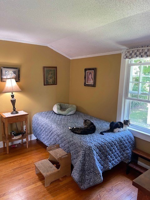 374 Wilbraham Road Property Photo 23