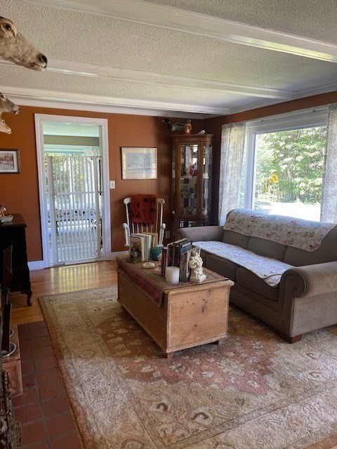 374 Wilbraham Road Property Photo 27