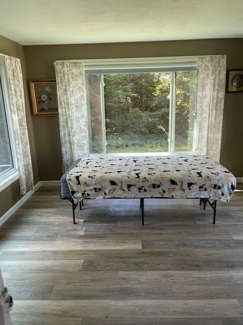 374 Wilbraham Road Property Photo 28
