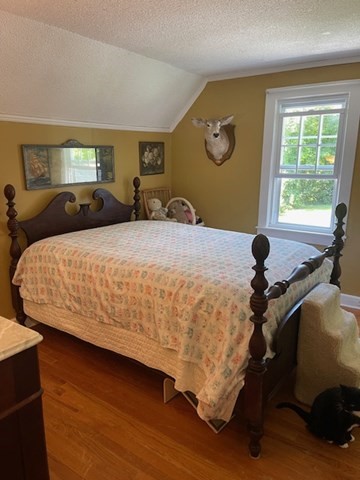 374 Wilbraham Road Property Photo 32