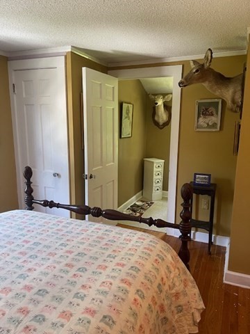 374 Wilbraham Road Property Photo 33