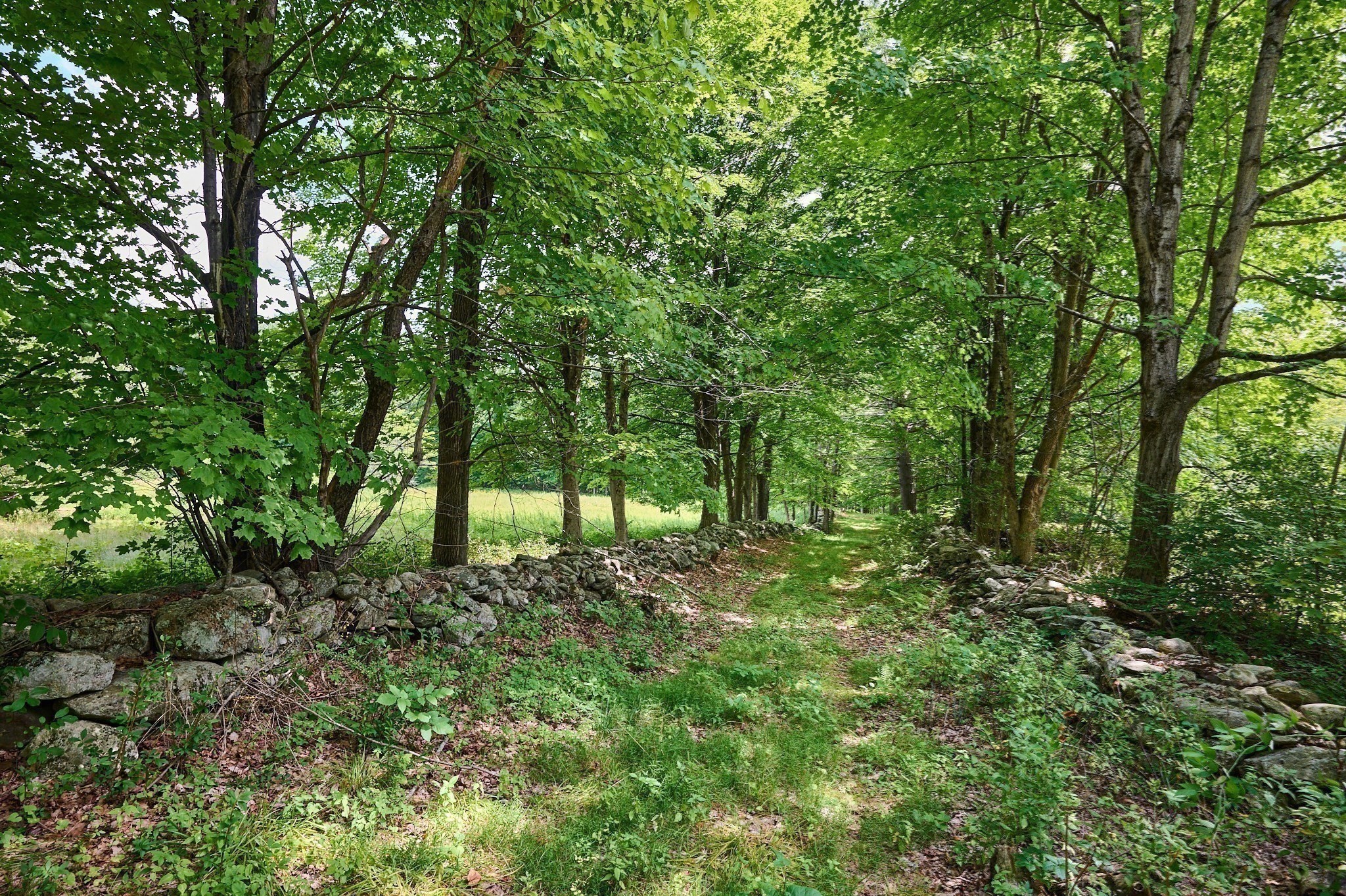 65 Montague Road Property Photo 8