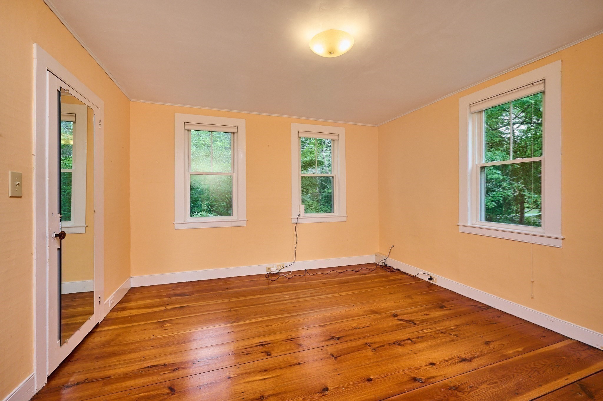 65 Montague Road Property Photo 23