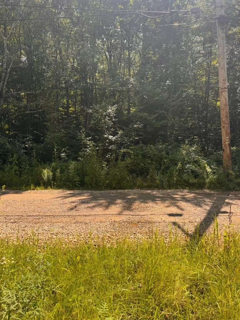 264 Breen Road Property Photo 1