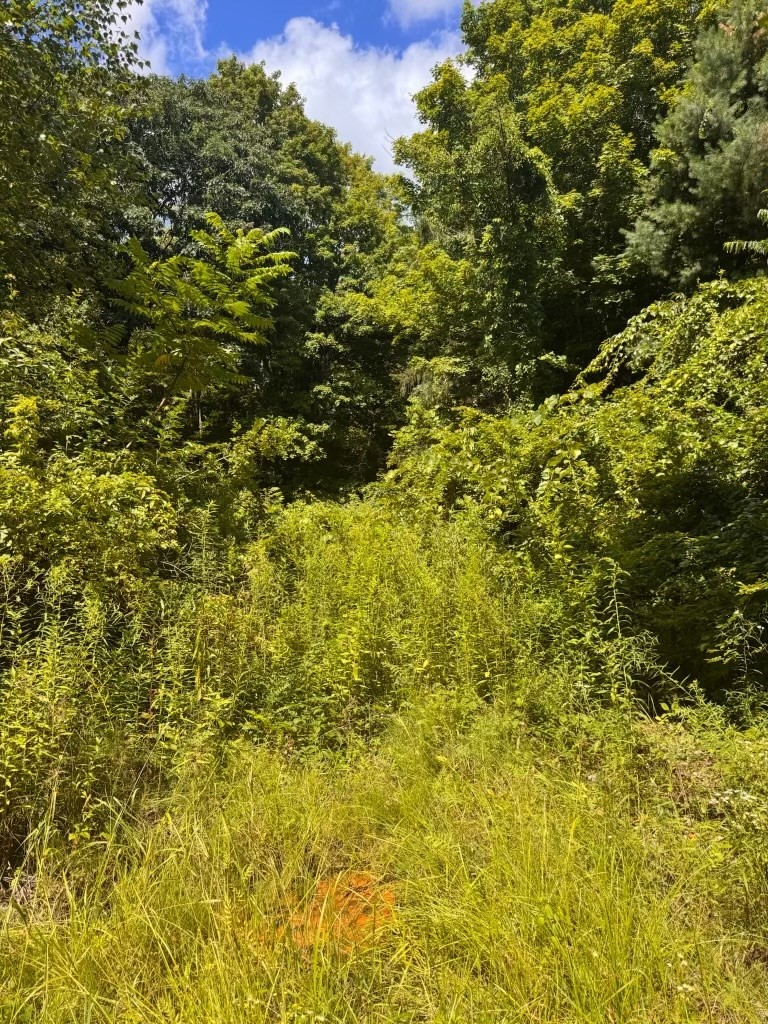 264 Breen Road Property Photo 3