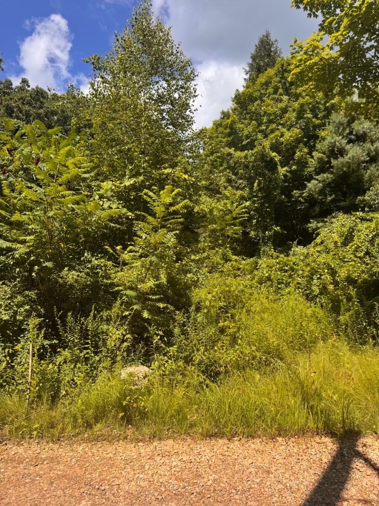 264 Breen Road Property Photo 4