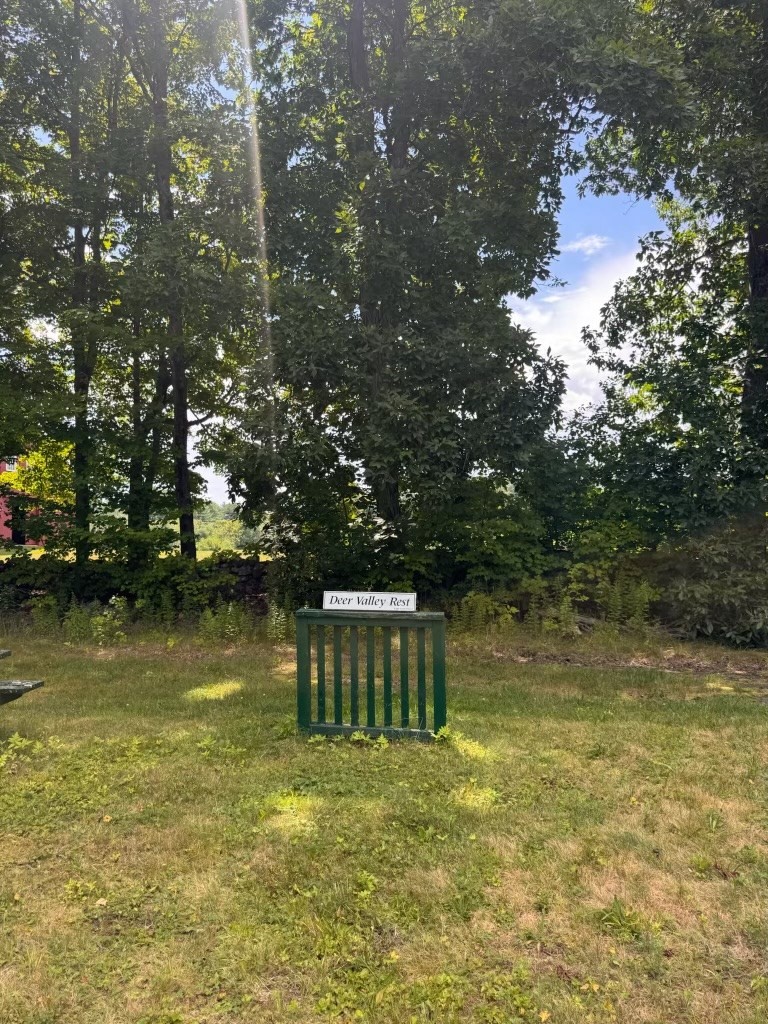 264 Breen Road Property Photo 8