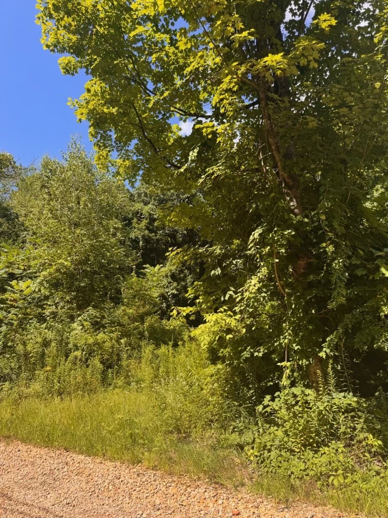 264 Breen Road Property Photo 12
