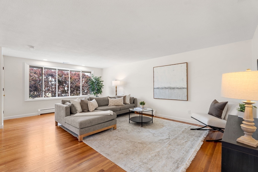11 Newman St Property Photo 4