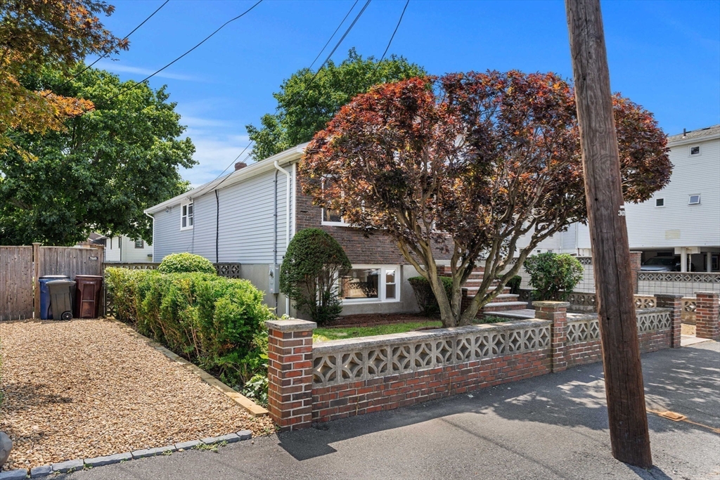 11 Newman St Property Photo 37